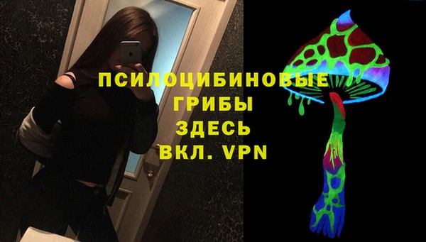 мет Алексин