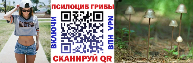Псилоцибиновые грибы ЛСД  магазин продажи   Липки 